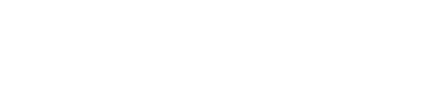 Financial Minds